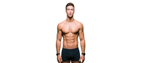 3d figure,3d man,body building,polykleitos,torso,3d model,3d rendered,anorexia,derivable,3d render,standing man,3d modeling,human body,obliques,sixpack,musculature,serratus,bodybuilder,extrude,render,Illustration,Japanese style,Japanese Style 15