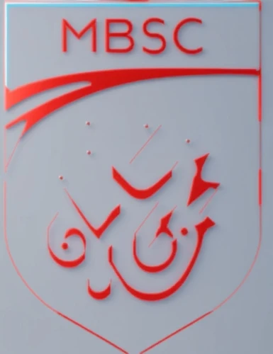 bsc,msc,mbc,smsc,mnscu,lbci,mmsc,msrc,smcc,wmsc,mbs,msb,nejmeh,msba,medical logo,bcsc,cssc,musc,msfc,mseb,Photography,General,Realistic