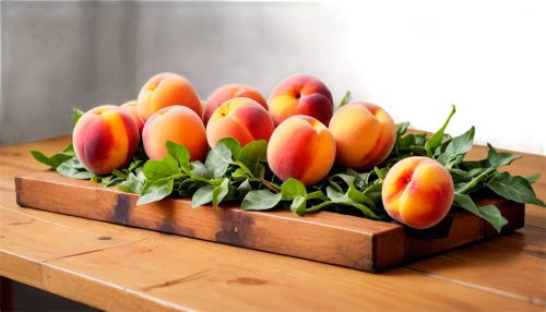 orange tulips,crudites,apricots,tulip background,colorful vegetables,fruit stand,organic fruits,exotic fruits,tuberosa,coffee fruits,edible fruit,fruits plants,apricot,carrots,nectarines,candy corn,vegetable fruit,autumn fruits,carotenoids,fruit bowl,Unique,Pixel,Pixel 03