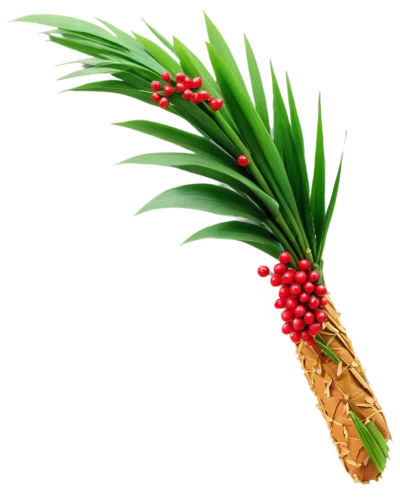 pine flower,fir tree decorations,pine tree branch,pine branch,palm tree vector,fir branch,christmas flower,pine cone ornament,pineapple background,red pine,spruce needles,pine needles,pine tree,cupressaceae,christmas background,spruce cones,pineios,palmtree,christmasbackground,palm leaf,Illustration,Abstract Fantasy,Abstract Fantasy 20