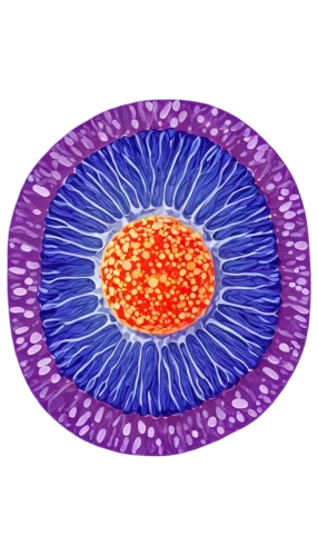 liposome,adipocyte,oocyte,nucleolus,prokaryote,mitotic,keratinocyte,liposomes,ovule,endocytosis,nucleolar,microvilli,eosinophil,heterochromatin,vacuolar,eosinophils,cyclospora,phagocyte,acanthamoeba,intercellular,Photography,Fashion Photography,Fashion Photography 12