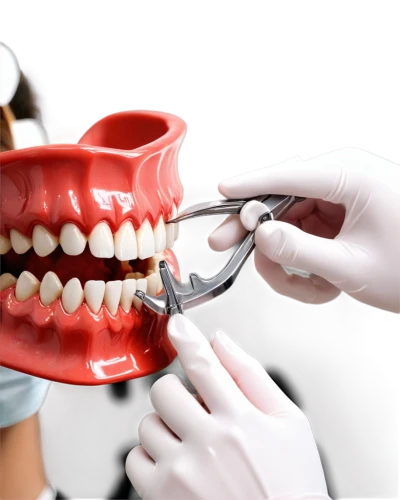 dentist,dental care,dental,dentistry,toothaker,edentulous,bruxism,malocclusion,hygienist,labiodental,temporomandibular,periodontist,denture,dentists,dentimargo,gingiva,prosthodontics,orthodontists,fillings,cavity,Conceptual Art,Daily,Daily 35