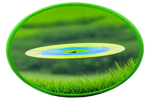 grass golf ball,artificial grass,cordgrass,wheatgrass,robotic lawnmower,bentgrass,aa,aaaa,wheat germ grass,microalgae,ryegrass,aaa,spotify logo,wheat grass,battery icon,spotify icon,blade of grass,circular,golf course grass,hypersphere,Illustration,American Style,American Style 11