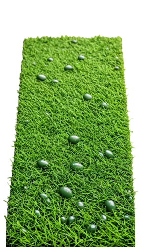 artificial grass,fieldturf,turfgrass,astroturf,block of grass,bentgrass,green wallpaper,grass golf ball,green lawn,golf lawn,ryegrass,aaaa,green grass,turf,zoysia,quail grass,paspalum,grass blades,halm of grass,poa,Illustration,Realistic Fantasy,Realistic Fantasy 17