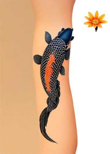 koi fish,koi,derivable,koi carps,mermaid vectors,koi pond,fish pen,mermaid tail,ornamental fish,damselfish,goldfish,beautiful fish,coelacanth,oreochromis,tropical fish,mermaid background,pallet doctor fish,weißkehl doctor fish,fish collage,angelfish,Illustration,American Style,American Style 14