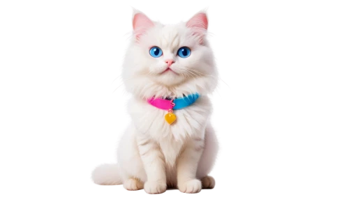 cat with blue eyes,blue eyes cat,white cat,cat on a blue background,doll cat,snowbell,ragdoll,british longhair cat,cute cat,kittu,cat vector,himalayan persian,cartoon cat,frideswide,breed cat,cat look,transparent background,cat image,kittenish,suri,Illustration,Paper based,Paper Based 18