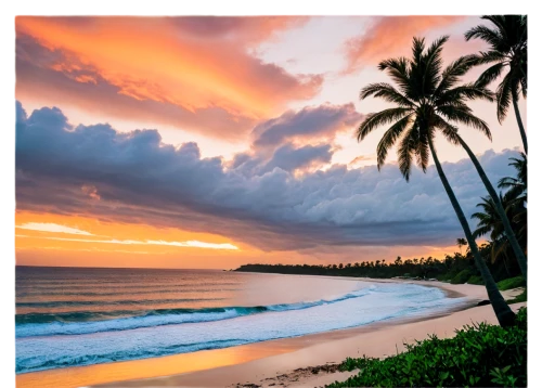 tropical beach,dream beach,beautiful beaches,hawaii,sunrise beach,beach landscape,sunset beach,beautiful beach,tropical sea,beach scenery,tropics,hawai,paradises,pink beach,splendid colors,varkala,brazilian beach,south pacific,coconut trees,tropical floral background,Illustration,Black and White,Black and White 14