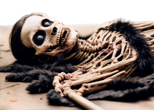 skelemani,skeletal,skeleton,vintage skeleton,wood skeleton,skeleltt,decomposing,skelly,endoskeleton,human skeleton,a voodoo doll,day of the dead frame,pile of bones,withered,lazaretto,boneparth,lich,dead bride,skelton,voodoo doll,Photography,Black and white photography,Black and White Photography 05
