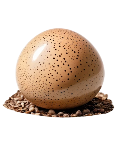 brown egg,egg shell,egg,lycoperdon,large egg,golden egg,bird's egg,zoeggler,bisected egg,painted eggshell,sesame bun,schnegg,mushroom landscape,crystal egg,organic egg,mushroom type,hen's egg,celebensis,brown eggs,forest mushroom,Art,Artistic Painting,Artistic Painting 01