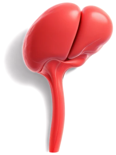 splenic,hepatosplenomegaly,glomerulosclerosis,kidney,endometrial,cholecystitis,hepatomegaly,hepatocellular,creatinine,fibroid,urological,nephropathy,retroperitoneal,kidneys,uremia,periventricular,intrauterine,cholangiocarcinoma,liver,prostate cancer,Conceptual Art,Oil color,Oil Color 13