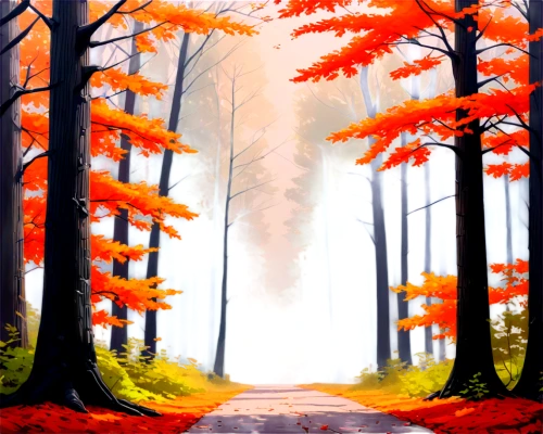 autumn forest,autumn background,autumn scenery,autumn walk,forest road,forest path,autumn frame,autumn trees,autumn landscape,autumn theme,fall landscape,forest background,autumn day,autumn idyll,autumn,the autumn,nature background,forest landscape,deciduous forest,forest walk,Illustration,Children,Children 03