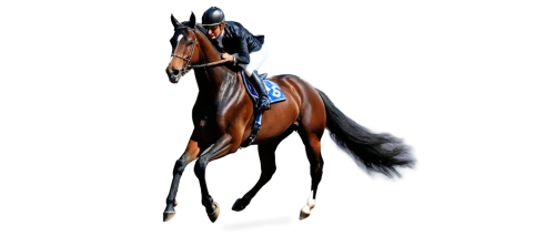 derivable,standardbred,hanoverian,cavalryman,racehorse,horseplayer,equato,saddlebred,arabian horse,equerry,kauto,kiberlain,lonhro,quarterhorse,broodmare,caballus,dressage,aqha,lighthorse,galop,Illustration,Realistic Fantasy,Realistic Fantasy 10