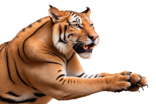 tiger png,bengal tiger,asian tiger,tiger,bengalensis,tigar,chestnut tiger,tigert,tigerish,harimau,tigerle,tigor,tigers,royal bengal,bengalenuhu,stigers,bengal,chandernagore,siberian tiger,tigernach,Illustration,Realistic Fantasy,Realistic Fantasy 45