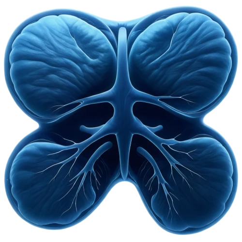 nephropathy,creatinine,aspergillosis,pneumonitis,pleuropneumonia,nephrotic,pyelonephritis,pulmonology,uremia,pulmonary,mediastinal,kidneys,renal,bronchiolitis,nephrology,glomerulosclerosis,pleural,sarcoidosis,respiratory,emphysema,Conceptual Art,Sci-Fi,Sci-Fi 21