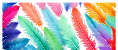 color feathers,parrot feathers,feathers,peacock feathers,feather headdress,feather,chicken feather,feather jewelry,pigeon feather,bird feather,rainbow pencil background,peacock feather,plumes,beak feathers,feather boa,plumas,ostrich feather,feather bristle grass,hawk feather,quills,Art,Artistic Painting,Artistic Painting 03