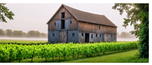 barn,farmhouse,farm house,barnhouse,old barn,farm background,vineyard,vineyards,field barn,barns,farm landscape,polders,farmhouses,red barn,farmstead,wooden house,hameau,bucolic,country house,home landscape,Art,Classical Oil Painting,Classical Oil Painting 14