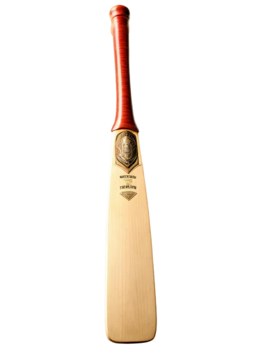 batting,batsman,cricketarchive,cricketer,nicolls,cricket,batter,longball,midwicket,batted,light batter,labuschagne,batsmen,wickets,trombly,marucci,duckett,slugger,isospin,bradman,Illustration,American Style,American Style 05