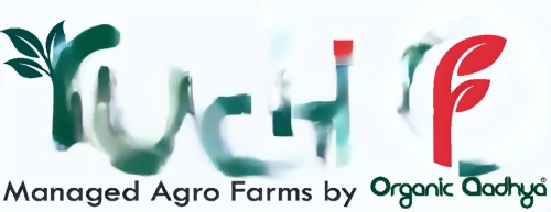 agribusinessman,organic farm,agribusinesses,agriprocessors,tona organic farm,agrobusiness,agri,agrochemicals,aggriculture,agribusiness,agjobs,agrochemical,agriculturist,agrosciences,agricolas,agribank,agroforestry,agro,forages,agrigentum