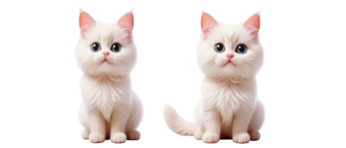 catterns,riverclan,windclan,white cat,two cats,sphinxes,suara,derivable,cat vector,siamese cat,georgatos,catulus,catsoulis,cat look,whiskas,skyclan,siamese,cat image,transparent background,breed cat,Illustration,Realistic Fantasy,Realistic Fantasy 24