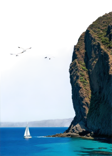 tropicbirds,seaplanes,paragliders,flightpath,flying sea gulls,windward,aeolian islands,napali coast,tropicbird,sailing boats,sails of paragliders,cliffs ocean,an island far away landscape,airships,jurassic coast,lightships,dokdo,bird island,voyages,paraglider sails,Conceptual Art,Graffiti Art,Graffiti Art 01