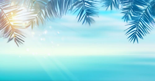 summer background,sunburst background,ocean background,palm tree vector,coconut trees,palmtree,tropical sea,palm forest,coconut tree,tropical beach,palmtrees,palm tree,coconut palms,palm,palms,beach background,palm trees,coconut palm tree,tropical floral background,cuba background