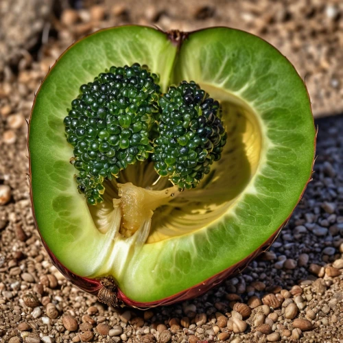 broccoli,brassica oleracea var,cucurbitaceae,polyporaceae,alvorada,brassicae,verduras,palta,romanesco,brassica,earth fruit,romanescu,nopal,brassicaceae,seedpod,cruciferous,unripe,convolvulaceae,vegetable fruit,cantalamessa,Photography,General,Realistic