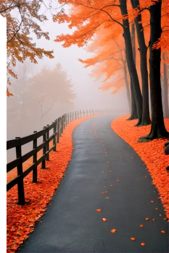 autumn background,autumn scenery,autumn landscape,fall landscape,autumn walk,autumn forest,autumn fog,autumn morning,autumn,the autumn,autumn day,maple road,autumn theme,just autumn,colors of autumn,autumn season,autumn idyll,nature wallpaper,landscape background,tree lined lane,Art,Artistic Painting,Artistic Painting 09