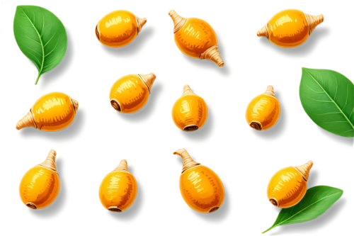 acorns,chestnut pods,capsule fruits,lemon background,chestnut fruits,pods,apricots,cardamon pods,jojoba,kumquat,argan tree,soybean,almonds,mandarins,indian almond,seeds,psidium,argan trees,physalis,allspice,Unique,Design,Sticker