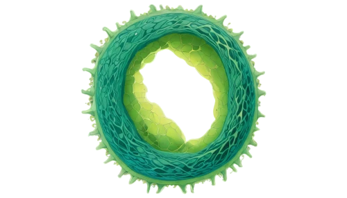 mitochondrion,eukaryote,prokaryote,ovule,chloropaschia,mitochondrial,embryo,mitochondria,supercilia,paramecium,flagella,hypostome,schistosomes,chloroplast,stomata,chloroplasts,embryogenesis,subcellular,embryos,prophase,Illustration,Realistic Fantasy,Realistic Fantasy 04