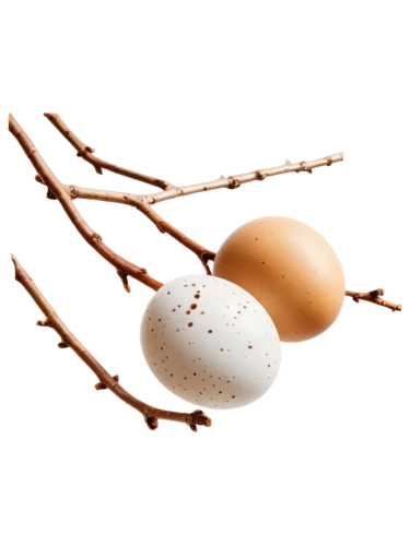 broken eggs,bird's egg,bisected egg,cracked egg,egg shell,egg,egg shell break,egg spoon,brown egg,brown eggs,eggs,egg shells,bird eggs,egg basket,painted eggshell,golden egg,egg dish,large egg,goose eggs,hen's egg,Art,Classical Oil Painting,Classical Oil Painting 20