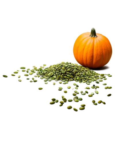 pumpkin seeds,pumpkin autumn,decorative pumpkins,halloween background,autumn pumpkins,calabaza,pumpkins,garrison,halloween pumpkin,pumpkin soup,mini pumpkins,gourds,pumpkin patch,muskmelon,hokkaido pumpkin,pumpkin,pumpkin spider,kirdyapkin,pumkins,halloween wallpaper,Art,Artistic Painting,Artistic Painting 27