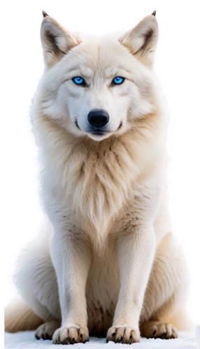 garrison,white fox,atka,light fur,wolfed,wolpaw,yukai,inu,lumi,ein,samoyedic,wolstein,malamutes,atunyote,wolfgramm,wolffian,defence,shoob,wolfsangel,defend,Conceptual Art,Sci-Fi,Sci-Fi 20