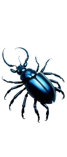 scarab,bioluminescence,sapidus,scarabs,webcrawler,weevil,fire beetle,eega,insectoid,azureus,diadem spider,auratus,carabus,anansi,lucanus,blue-winged wasteland insect,bioluminescent,brush beetle,lab mouse icon,pseudagrion,Conceptual Art,Sci-Fi,Sci-Fi 19