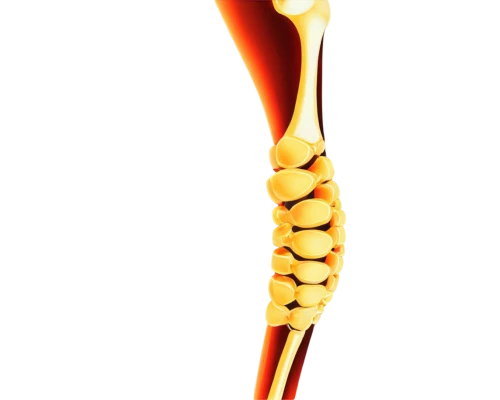 osseointegration,osteoporotic,spondylitis,psoas,osteocalcin,osteoarthritis,spinal,piriformis,osteopenia,lateral,osteomalacia,intervertebral,sciatica,fasciae,tendinous,syringomyelia,ligamentum,tibia,osteitis,osteoporosis,Illustration,Paper based,Paper Based 16