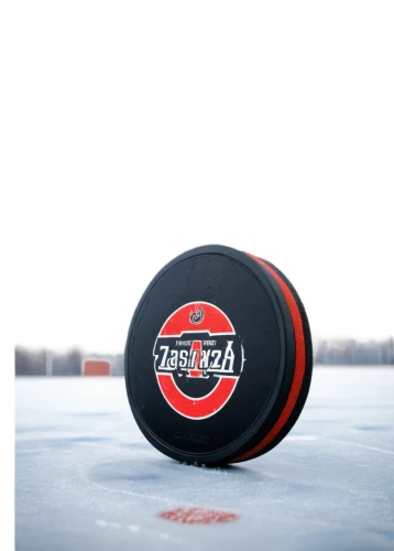 ajhl,eihl,ojhl,daypuck,tappara,nojhl,liiga,khl,pucks,nhl,eishockey,echl,aihl,frolunda,qmjhl,sphl,mjhl,ice hockey,icehockey,opjhl,Conceptual Art,Fantasy,Fantasy 12