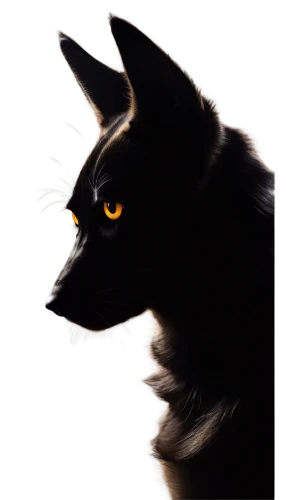 shadowclan,ravenpaw,brambleclaw,riverclan,thunderclan,starclan,tigerstar,skyclan,blackwolf,windclan,graystripe,firecat,black shepherd,wolpaw,werewolve,pyewacket,loup,scourge,fireheart,yellow eyes,Illustration,Vector,Vector 02