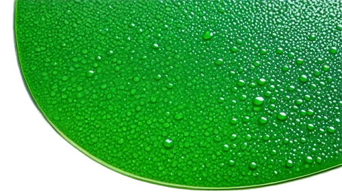 microalgae,green bubbles,chlorella,chlorophyll,spirulina,chlorophylls,chloropaschia,cleanup,pentachlorophenol,cyanobacteria,tetrahydrobiopterin,microspheres,chloro,precipitates,greenglass,chlorophyta,green wallpaper,green water,aaa,green,Photography,Documentary Photography,Documentary Photography 07