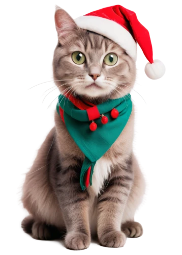 christmas cat,christmas ribbon,santa claus hat,christmas photo,christmas background,christmas hat,santa hat,yuletide,christmas motif,christmas picture,christmas pictures,jingle bell,christmasbackground,christmas animals,jingle bells,jemas,jingled,santa's hat,jingles,roelf,Photography,Fashion Photography,Fashion Photography 14