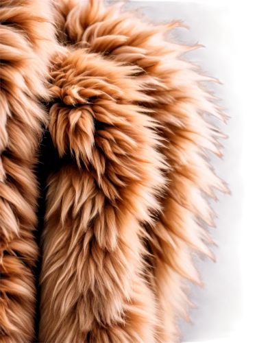 animal fur,foxtail,furring,ostrich feather,fur,derivable,furr,furrier,furs,pelts,fur coat,sackcloth textured background,chenille,tribble,furrs,sackcloth textured,pomeranians,mohair,sheepskins,sheep wool,Illustration,Realistic Fantasy,Realistic Fantasy 40
