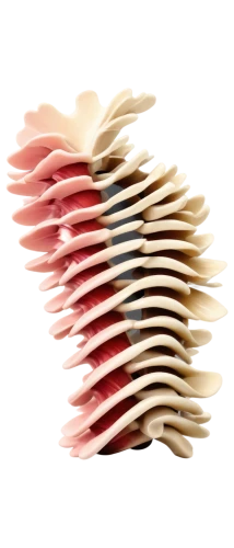 spiral book,spines,enoki,generative,concertina,stack of letters,feuilletons,folded paper,spiral binding,corrugated,flowers png,deformations,garridos,degenerative,softspikes,spine,fractalius,envelops,accordion,enfolded,Illustration,Japanese style,Japanese Style 10