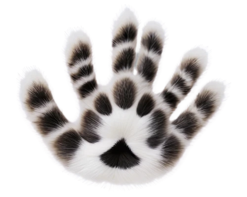 handshake icon,cat's paw,pawprint,paw print,palmistry,bear paw,cat paw mist,hand digital painting,wolpaw,handprint,pawprints,warning finger icon,handshape,forepaws,paw,handprints,hand print,palm reading,palmtop,skeleton hand,Photography,Documentary Photography,Documentary Photography 25