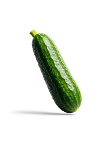 courgette,cucumber,zucchino,zucchini,horn cucumber,gherkins,pipino,cornichons,celery tuber,pepino,asparagaceae,cucumbers,pinya,cuculus,asparagales,chloropaschia,cuke,cukes,gherkin,pickled cucumbers,Illustration,Retro,Retro 25