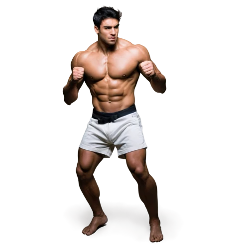 vijender,sagat,siam fighter,mohammed ali,pugilist,hakan,cejudo,overeem,buakaw,klitschko,kyokushin,palhares,muaythai,ippo,muhammad ali,ryu,ferrigno,arlovski,muayad,kazuya,Photography,Fashion Photography,Fashion Photography 06