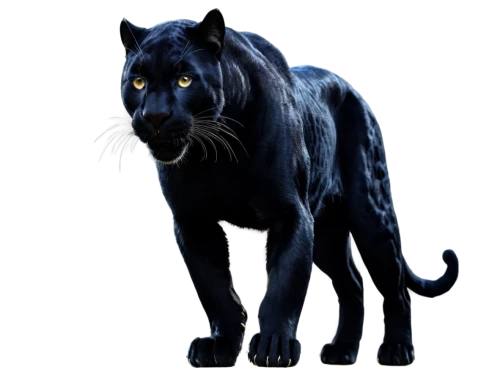 panthera,bluestar,panthera leo,melanism,thunderclan,jayfeather,riverclan,gepard,shadowclan,panther,brambleclaw,blue tiger,ravenpaw,bubastis,tigon,smilodon,tigerstar,felidae,starclan,sabercats,Conceptual Art,Fantasy,Fantasy 14