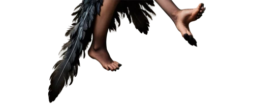 deformations,render,renders,3d rendered,derivable,3d render,extrude,calyptorhynchus banksii,generative,extruded,gradient mesh,hand digital painting,generated,rendered,3d crow,feathers,beak feathers,anhinga,plumes,extruding,Illustration,Paper based,Paper Based 23