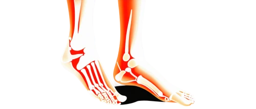 dorsiflexion,hindfeet,tibialis,foot model,foot reflex,foot reflex zones,reflex foot sigmoid,neuroma,foot,valgus,gastrocnemius,metatarsal,lateral,sesamoid,fibular,orthotic,ligamentum,hindlimb,fasciae,the foot,Unique,Paper Cuts,Paper Cuts 07