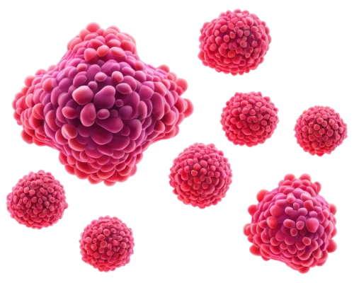 polyomavirus,cytomegalovirus,cryptosporidiosis,spherules,lyssavirus,norovirus,adenovirus,herpesviruses,reovirus,arenavirus,coronavirus,enterovirus,meningococcus,rotavirus,azotobacter,rhinoviruses,flavivirus,streptococcus,rhinovirus,ebolavirus,Illustration,Paper based,Paper Based 02