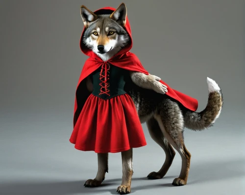 red riding hood,little red riding hood,dog coat,huskic,inugami,aleu,animals play dress-up,atunyote,maometto,imperial coat,wolfdog,howl,wolffian,canis lupus,wolfsangel,wolpaw,redcoat,canidae,red coat,european wolf,Conceptual Art,Daily,Daily 27