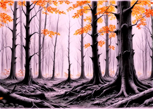 halloween bare trees,autumn forest,haunted forest,cartoon forest,beech trees,forest background,deciduous forest,tree grove,halloween background,beech forest,forest landscape,background vector,forest,forests,the forest,cartoon video game background,enchanted forest,mirkwood,forest glade,forest dark,Illustration,Black and White,Black and White 30