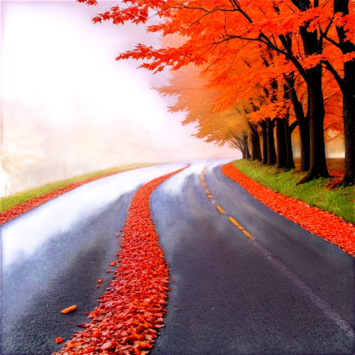 autumn background,autumn scenery,asphalt road,maple road,road,autumn landscape,fall landscape,autumn season,tree lined lane,autumn leaves,autumn,autumn theme,just autumn,country road,late autumn,autumn fog,roads,autumn day,autumn frame,forest road,Illustration,Realistic Fantasy,Realistic Fantasy 05